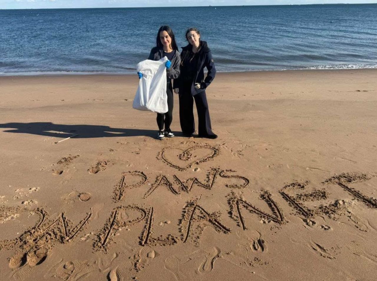Beach cleanup