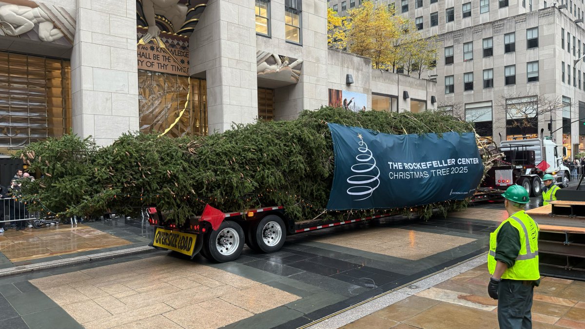 Rockefeller Center Christmas tree arrives in New York City – NBC New York