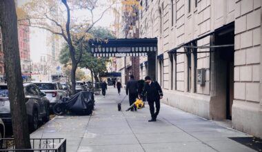 Life Lessons From Upper West Side Leaf Blowers