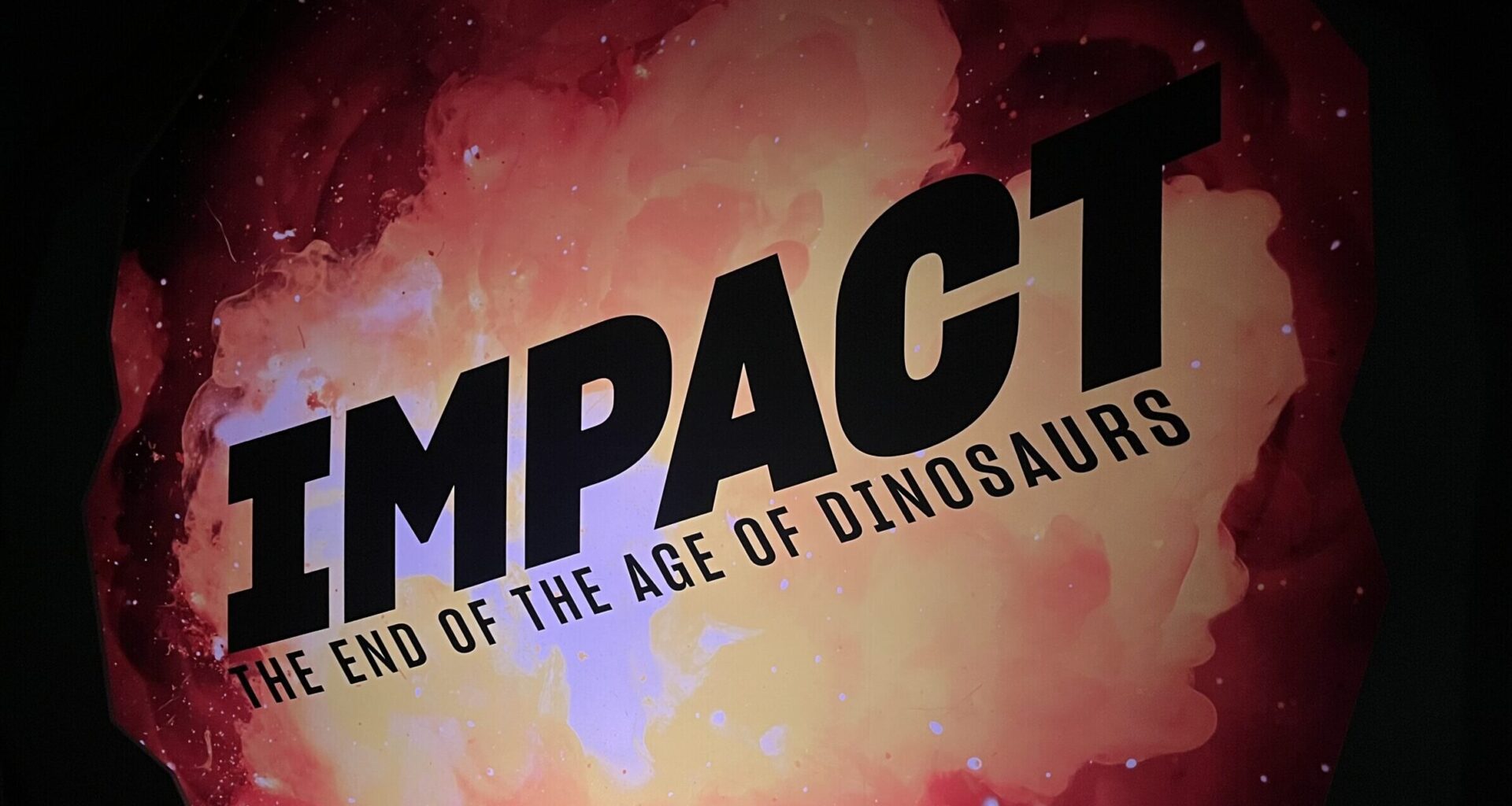 Sneak Preview of Groundbreaking New Exhibit at the American Museum of Natural History