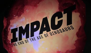 Sneak Preview of Groundbreaking New Exhibit at the American Museum of Natural History