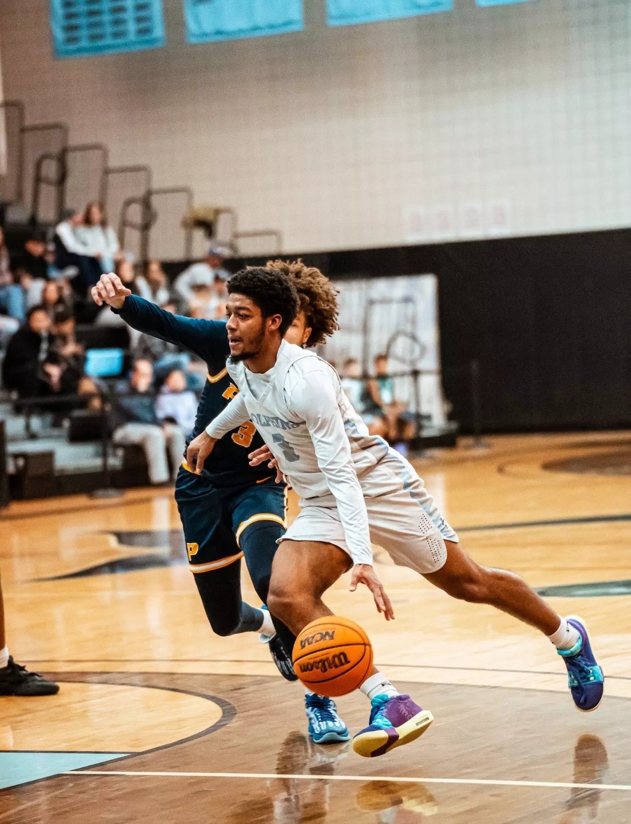 J.J. Chestnut, CSI men's hoops 2025-26