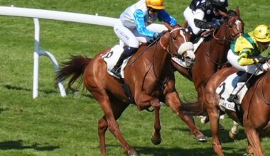 Orion Queen Rules In The St Leger Italiano