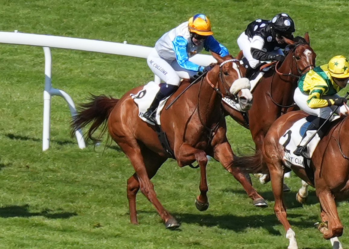 Orion Queen Rules In The St Leger Italiano