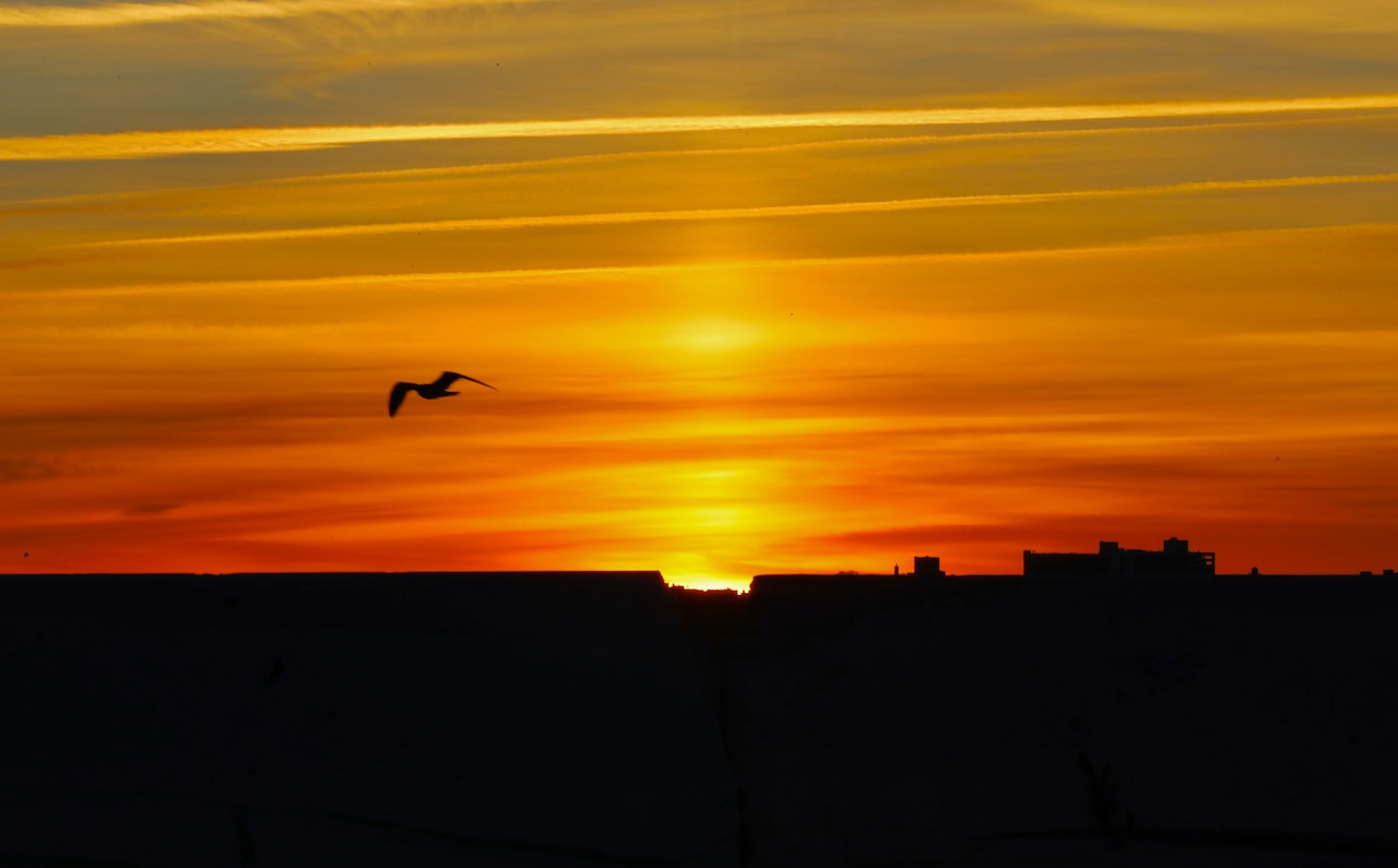 Sunrise over New York City