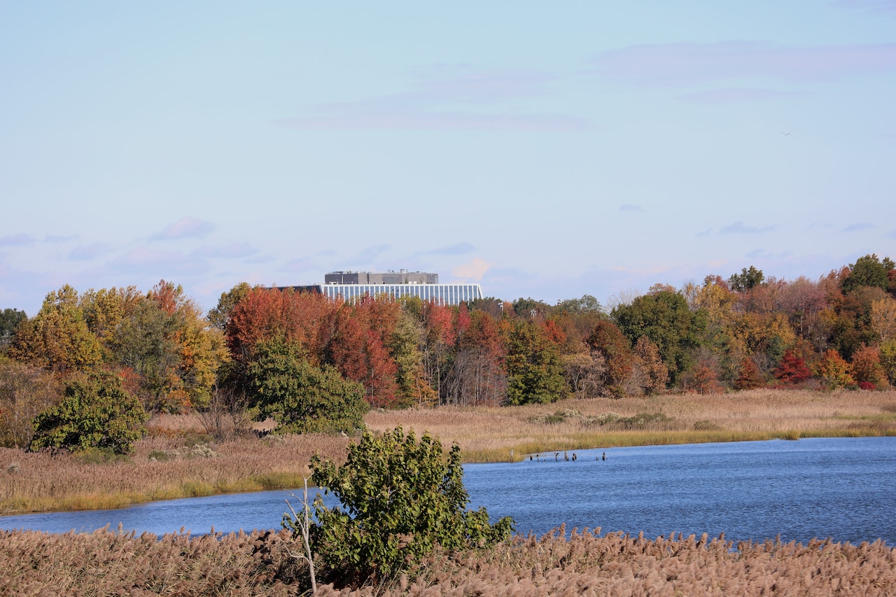 Freshkills Park tour 2025
