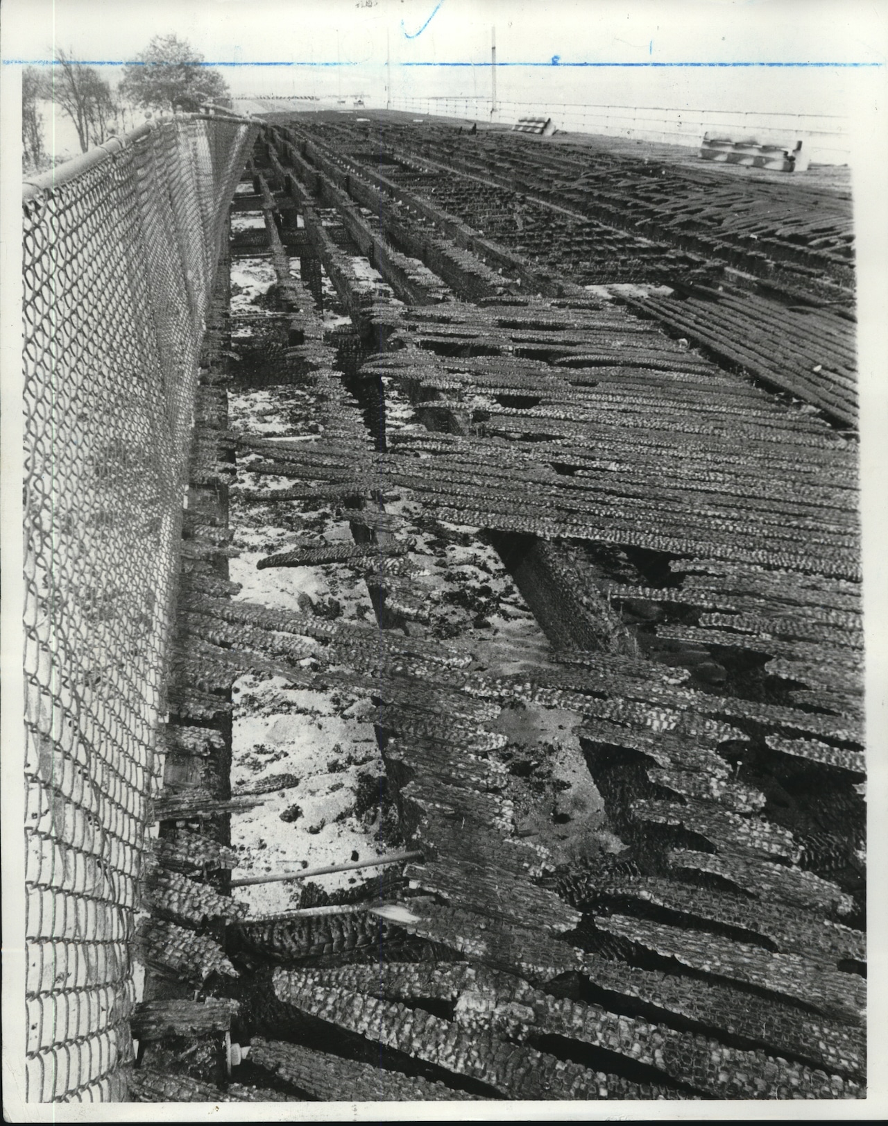 1984 Press Photo Franklin D. Roosevelt Boardwalk construction, South Beach christine belusko girl with the scorpion tattoo