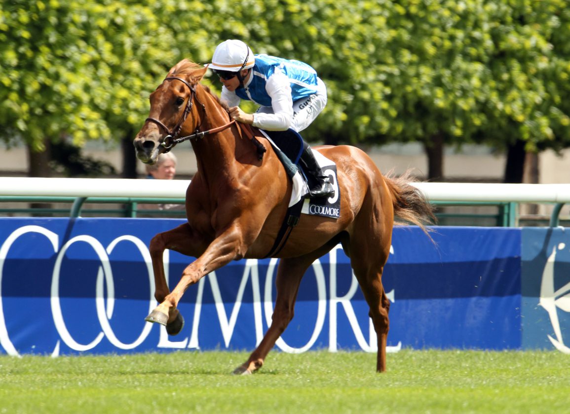 Impressive Cast of Bluebloods On Show at Chantilly