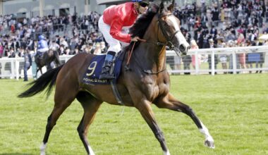 Queen's Trust Filly Steps Out At Chelmsford
