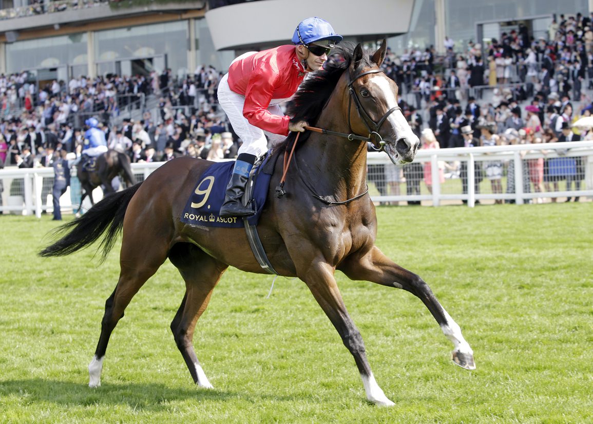 Queen's Trust Filly Steps Out At Chelmsford