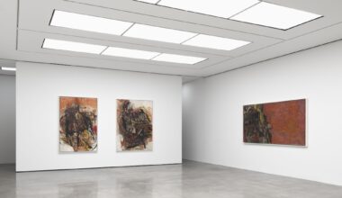 Sylvia Snowden's On the Verge White Cube New York Pushes Boundaries