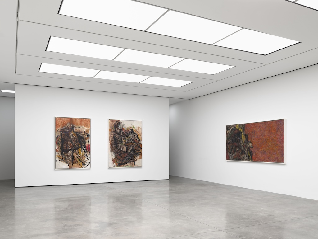 Sylvia Snowden's On the Verge White Cube New York Pushes Boundaries