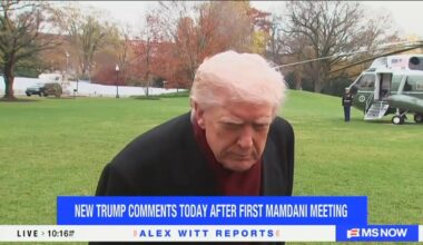 Trump Backs Off Plan to Deploy National Guard to New York