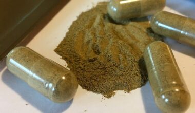 A gateway to drug use lurking at gas stations? Staten Island leaders push to ban sale of kratom