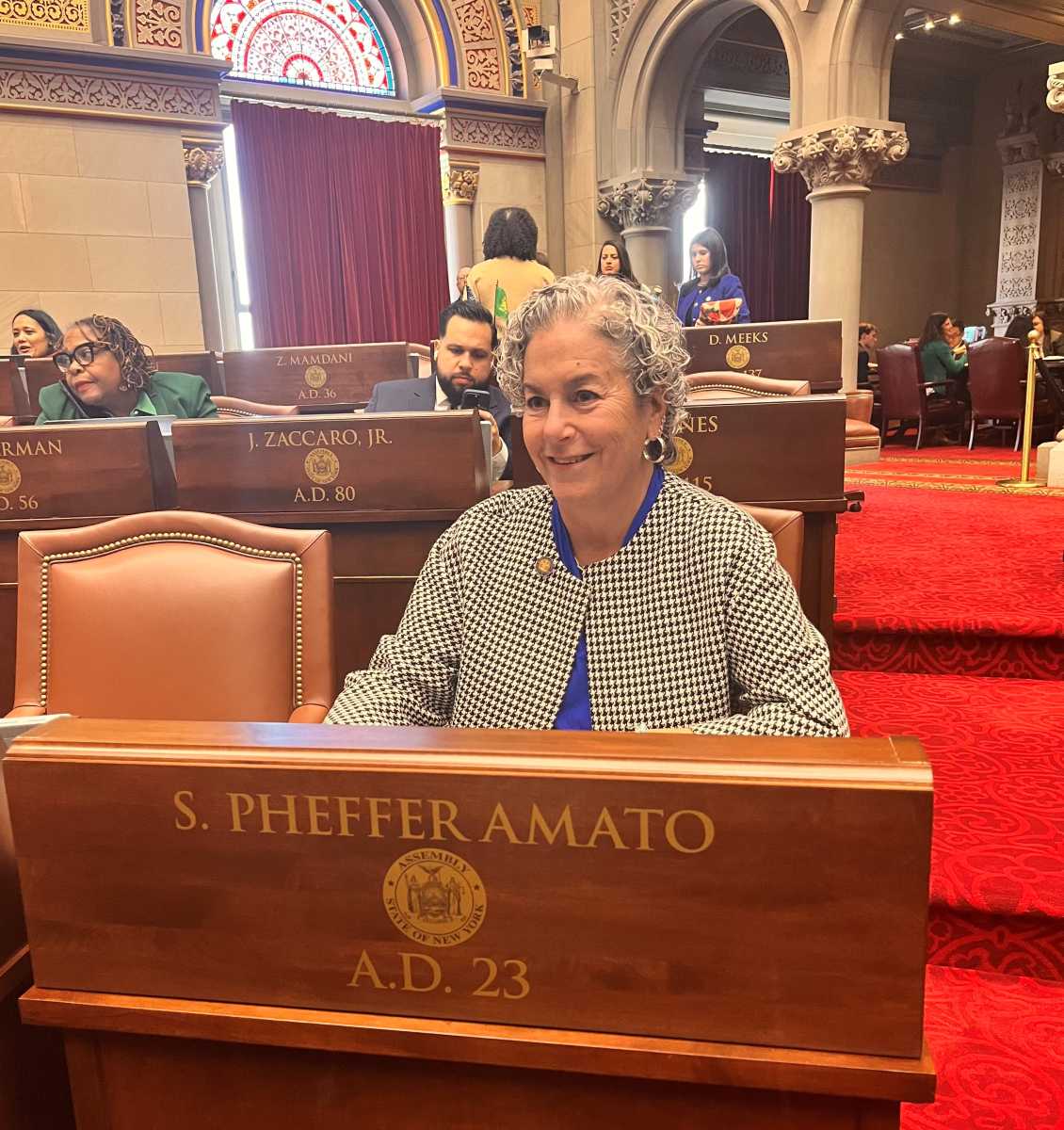 Assembly Member Stacey Pheffer Amato announced she will not seek re-election to represent South Queens and the Rockaways in Albany in 2026.
