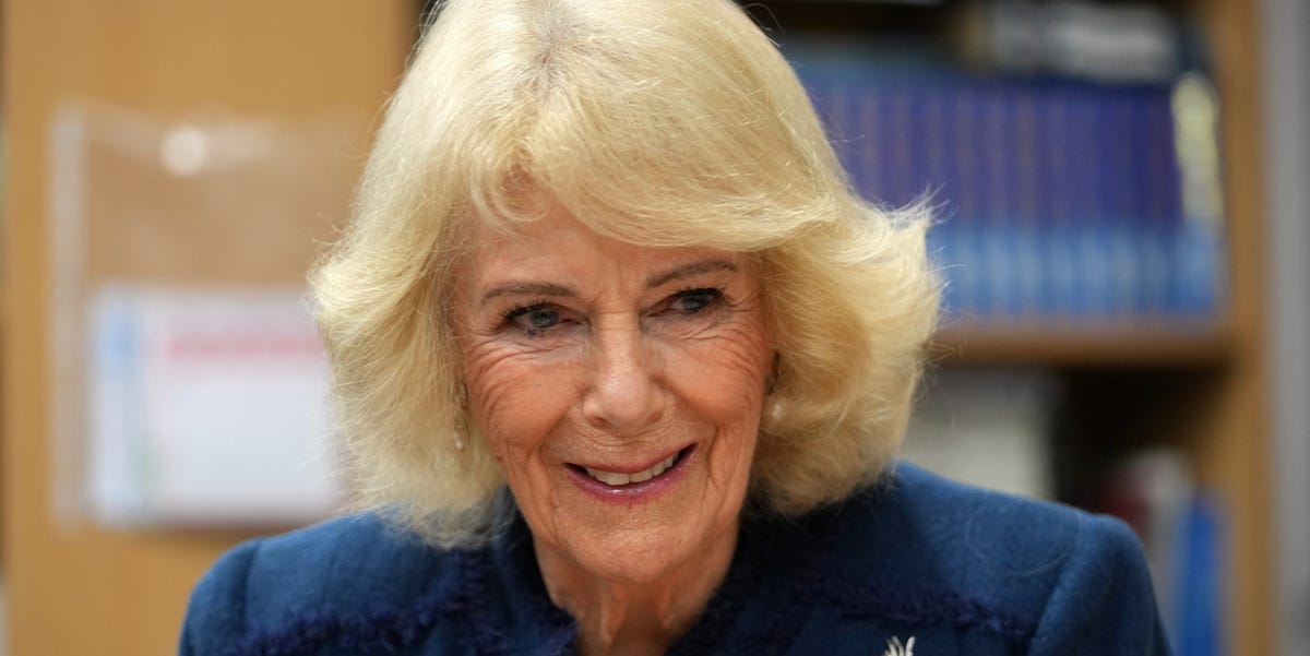 Queen Camilla Is the Star of a New Royal Crime Novel