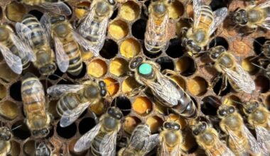 The Conversation Canada