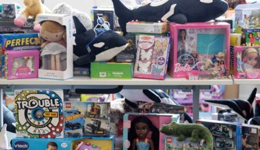 Governor Hochul Announces Start of Holiday Food, Toy, Coat and School Supply Drive to Benefit New Yorkers in Need