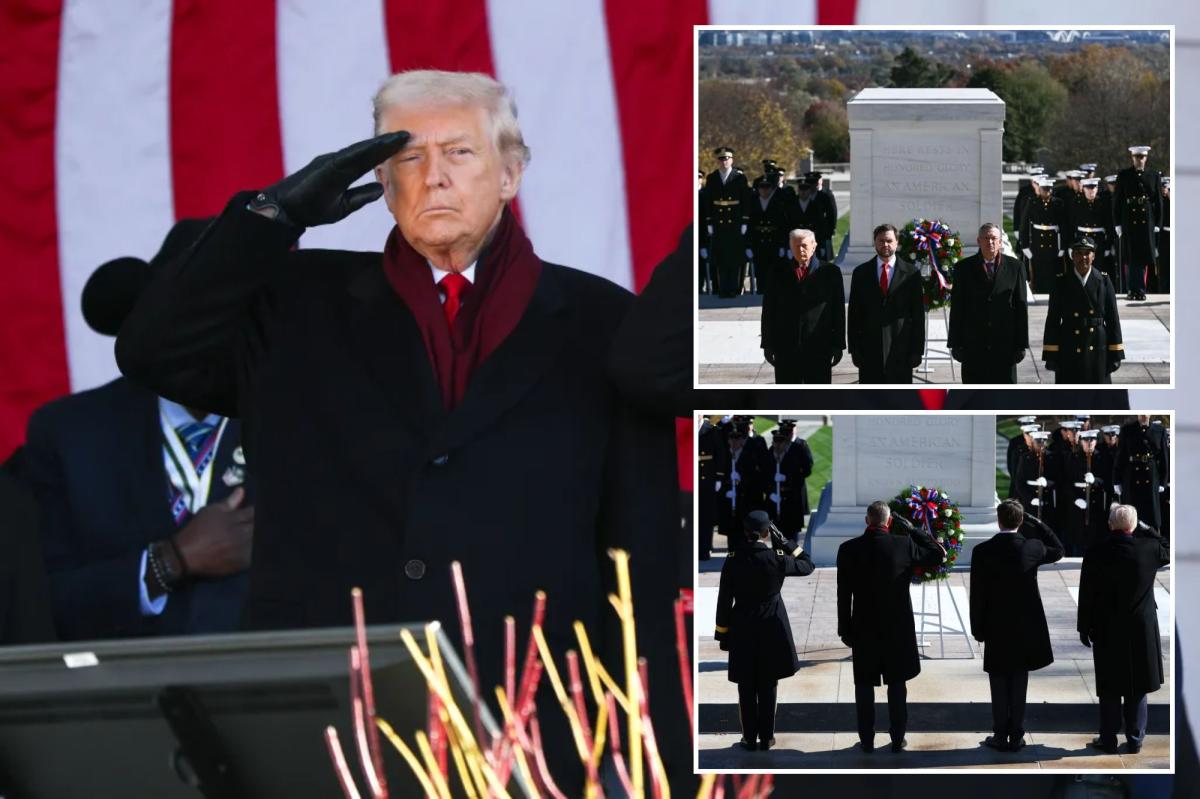 Trump declares Veterans Day as 'Victory Day' in Arlington cemetery speech