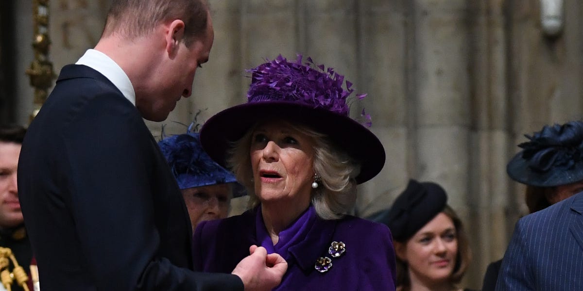 How Prince William and Queen Camilla Have Caused “Family Angst”