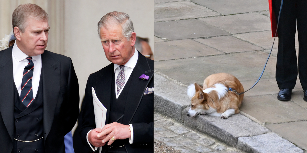 King Charles Trying to "Seize" Queen's Corgis from Andrew