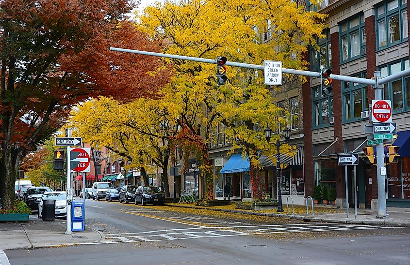 Downtown Ithaca with trees in fall colors.