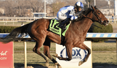 Stone Smuggler seeks more stakes success in $125K NYSSS Staten Island