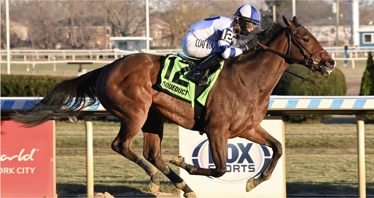 Stone Smuggler seeks more stakes success in $125K NYSSS Staten Island