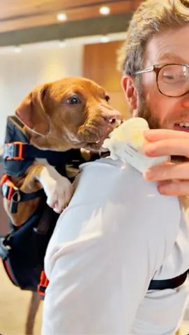 courtesy bryan reisberg Bryan Reisberg giving a pup cup to rescue dog, Genesis