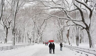 A winter storm is set to descend on the Northeast. The storm will from the western United States throughout Saturday. New York City is expected to get its first snowflakes by 9pm ET Pictured: Central Park after a snowfall