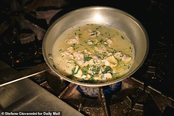 'Eventually this will come to more of a sauce... like a cream,' said Vitolo.