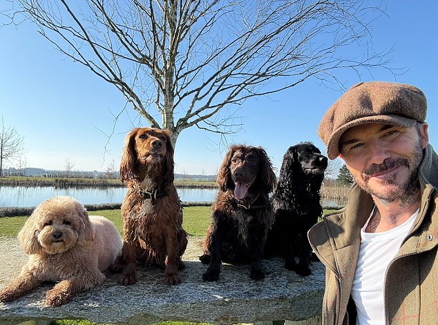 David also included a picture with his family dog