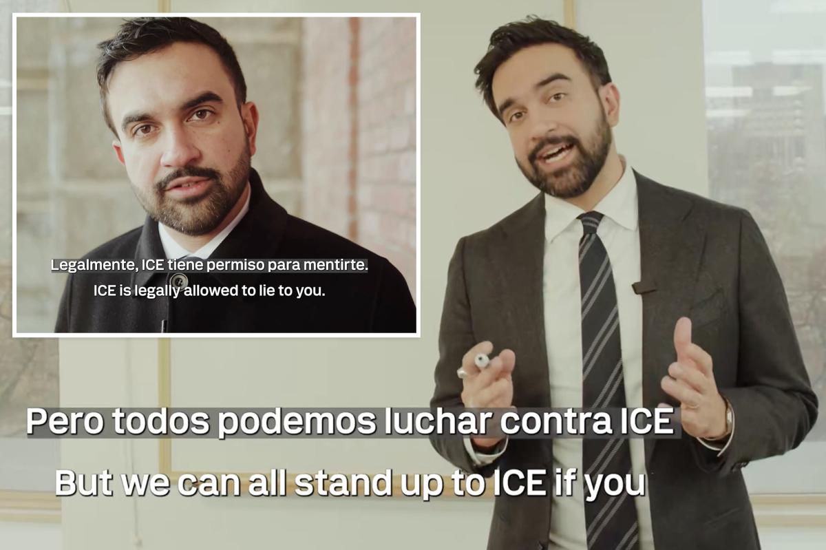 Zohran Mamdani gives advice to thwart, evade ICE in video message calling to 'stand up' to feds