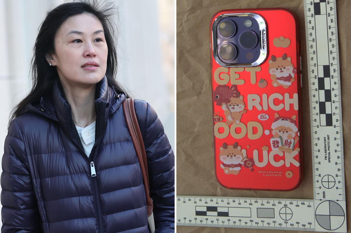 NY accused secret Chinese agent Linda Sun toted 'Get rich, good luck' phone case: feds