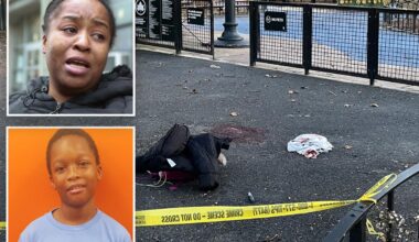 Pre-teen charged with attempted murder in stabbing of boy, 12, inside NYC playground: cops