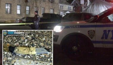 NYPD officer shoots, kills box cutter-wielding madman in front of his parents