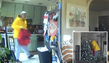 Long Island kid stops burglar, leaps from window in 'Home Alone'-style heroics: cops