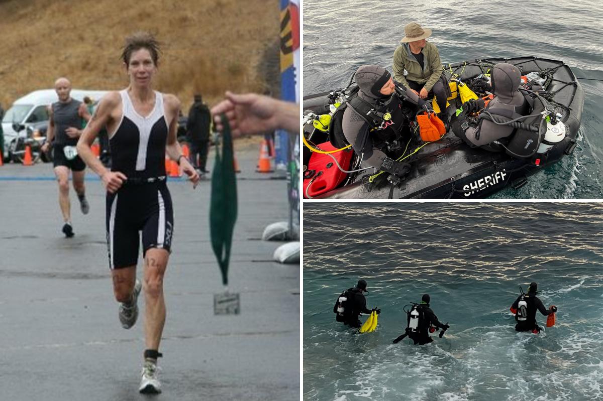 Remains of missing triathlete Erica Fox found in Santa Cruz after shark spotted with human body in its mouth