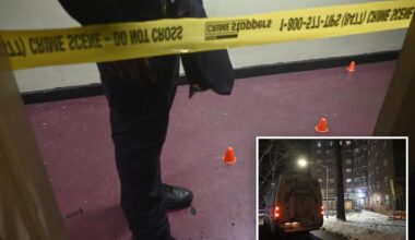 Connecticut boy, 15, killed and another teen wounded in NYC public housing shooting: cops