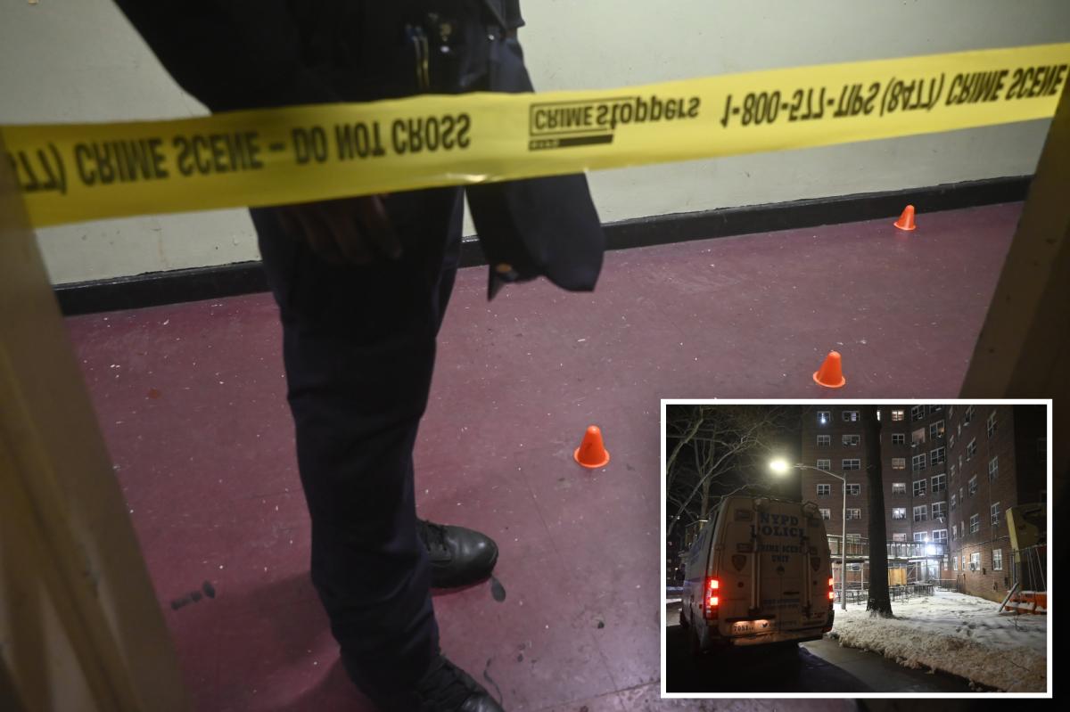 Connecticut boy, 15, killed and another teen wounded in NYC public housing shooting: cops
