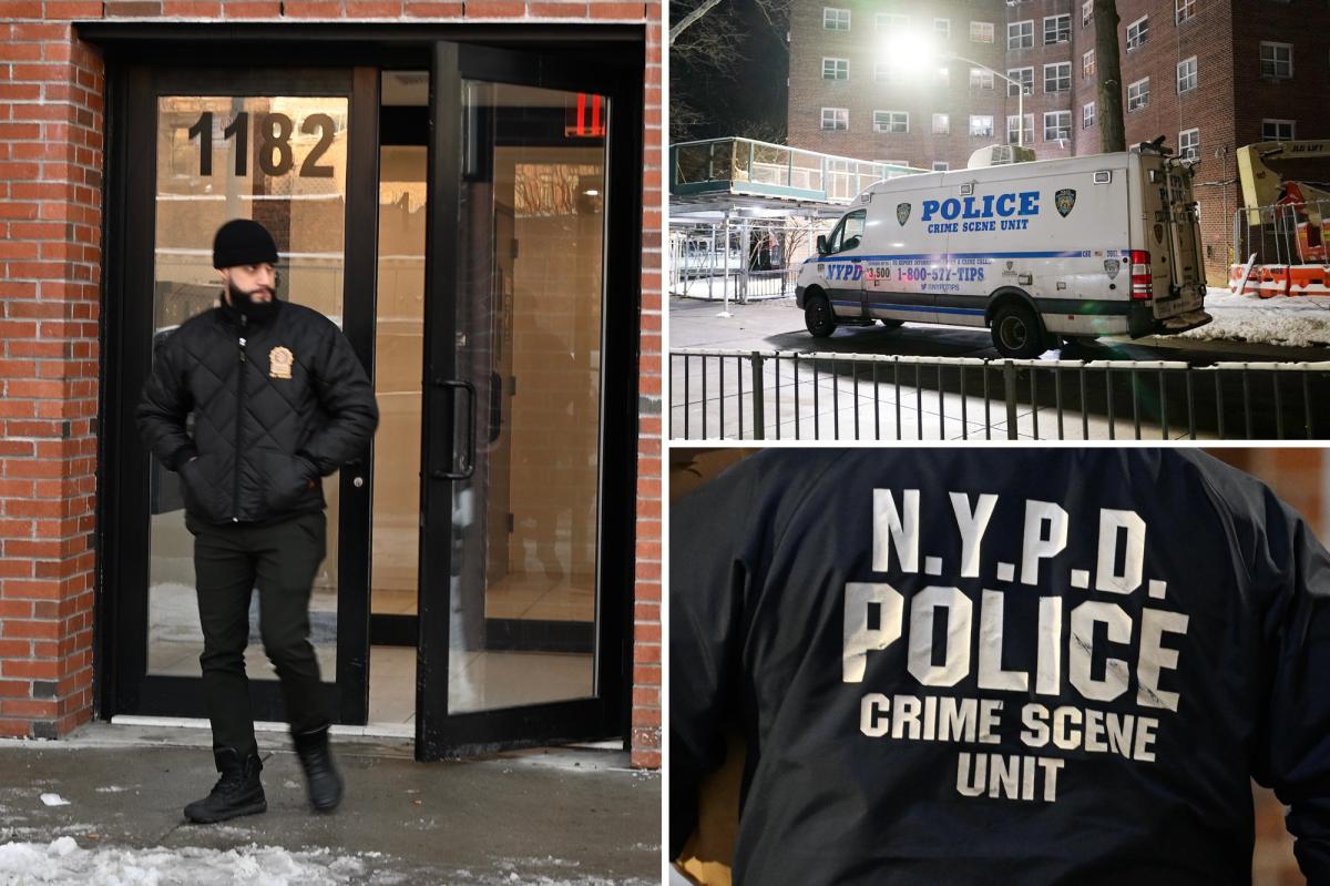 Woman stabbed to death inside NYC apartment, 2 people questioned: sources