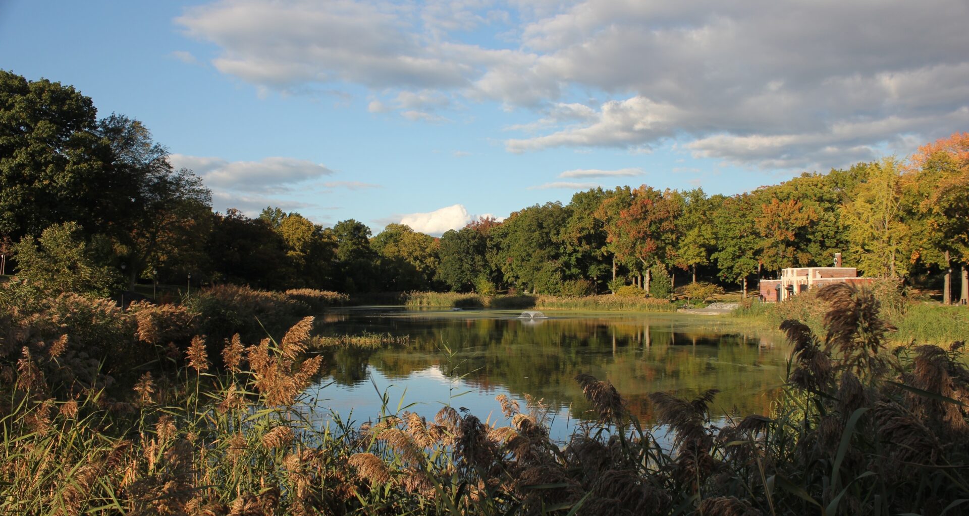 NYC Invests $68 Million to Tackle Prospect Park Flash Flooding Issues