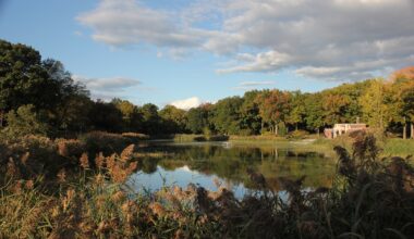 NYC Invests $68 Million to Tackle Prospect Park Flash Flooding Issues