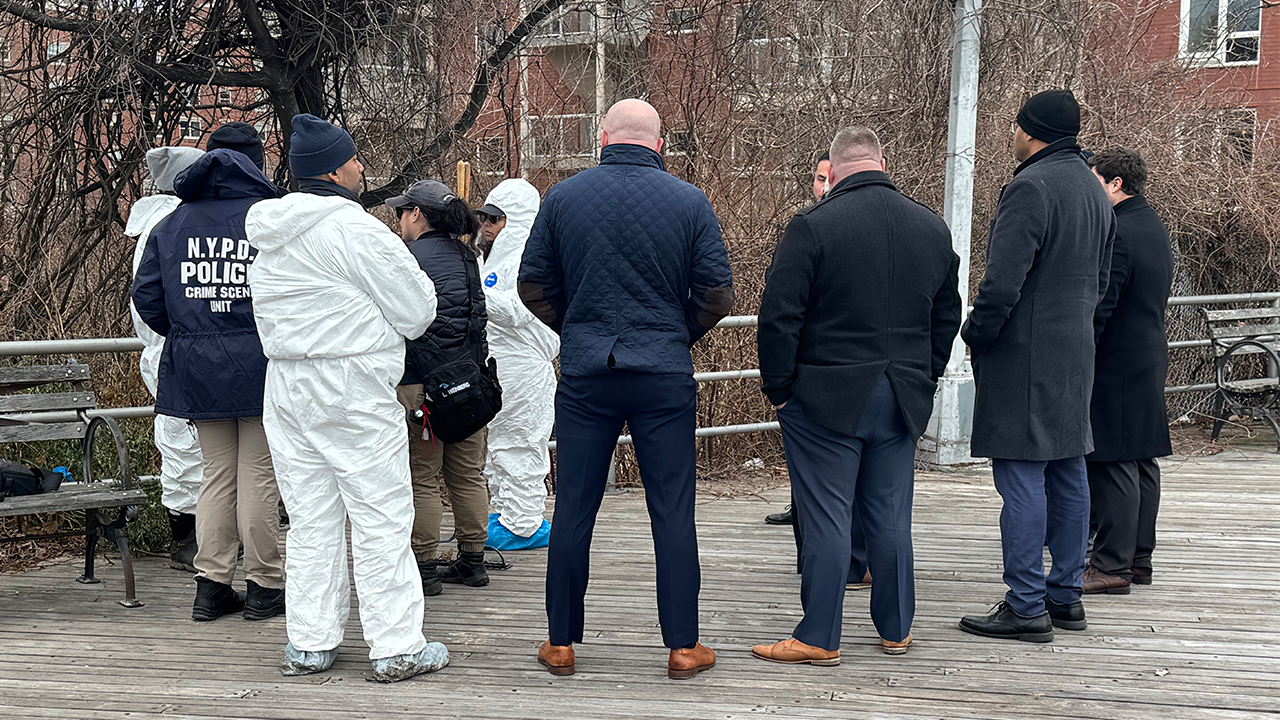 Human skull, other remains discovered in bushes near Brooklyn's Coney Island