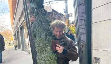 How much is a NYC Christmas tree in this economy? Yule love this map.