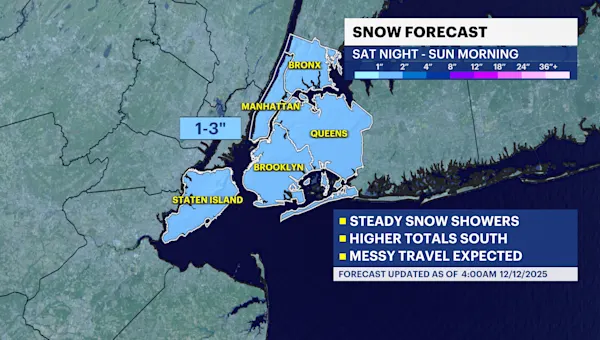 Weekend snow expected in Brooklyn. Here's how much we could see