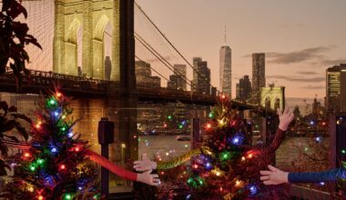 There's an Installation of Hugging Christmas Trees in NYC Right Now