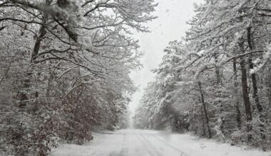 Snow falls across Long Island; roads slick, long delays at LaGuardia, JFK