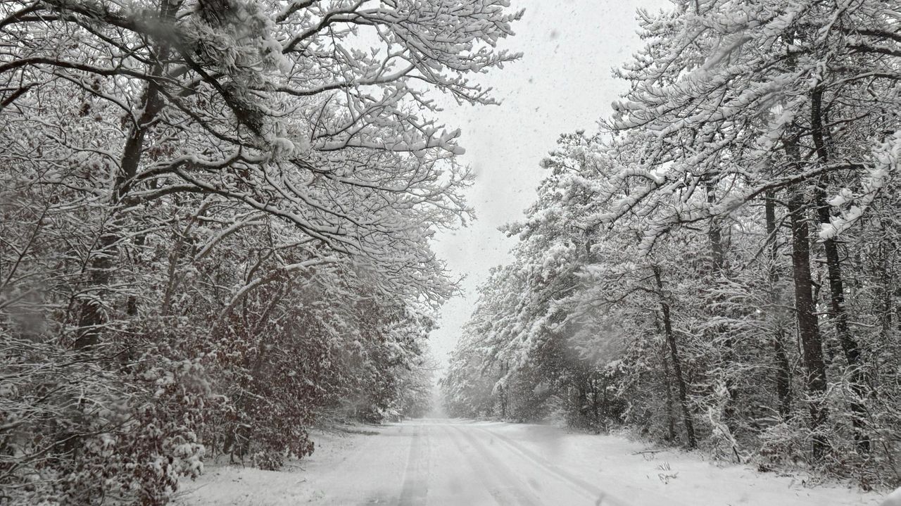 Snow falls across Long Island; roads slick, long delays at LaGuardia, JFK