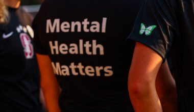 Suicides in NY remain steady as data-sharing breakdowns persist